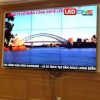 Màn Hình Ghép 55 Inch Samsung Viền Siêu Mỏng – Giải Pháp Hiển Thị Chuyên Nghiệp 2026 - LED D&Q