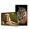 Màn Hình Quảng Cáo Châu Âu 49 Inch: Giải Pháp Smart Signage Hiệu Quả 2026 - LED D&Q