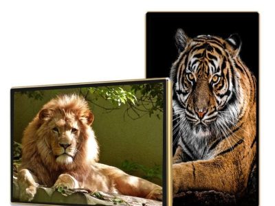Màn Hình Quảng Cáo Châu Âu 49 Inch: Giải Pháp Smart Signage Hiệu Quả 2026 - LED D&Q