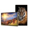 Màn Hình Quảng Cáo Châu Âu 55 Inch: Giải Pháp Hiển Thị Chuyên Nghiệp 2026 - LED D&Q