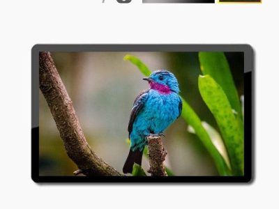 Màn hình quảng cáo LCD treo tường 75 inch SAMSUNG / LG - LED D&Q