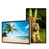 Màn hình quảng cáo Châu Âu 43 inch Smart Signage Display - LED D&Q