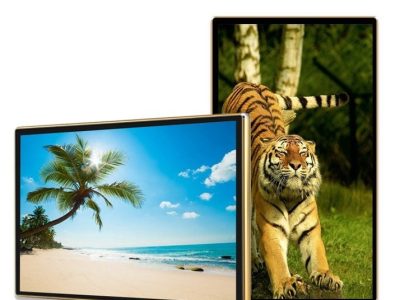 Màn hình quảng cáo Châu Âu 43 inch Smart Signage Display - LED D&Q