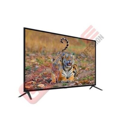 Tivi cường lực 55 inch - LED D&Q